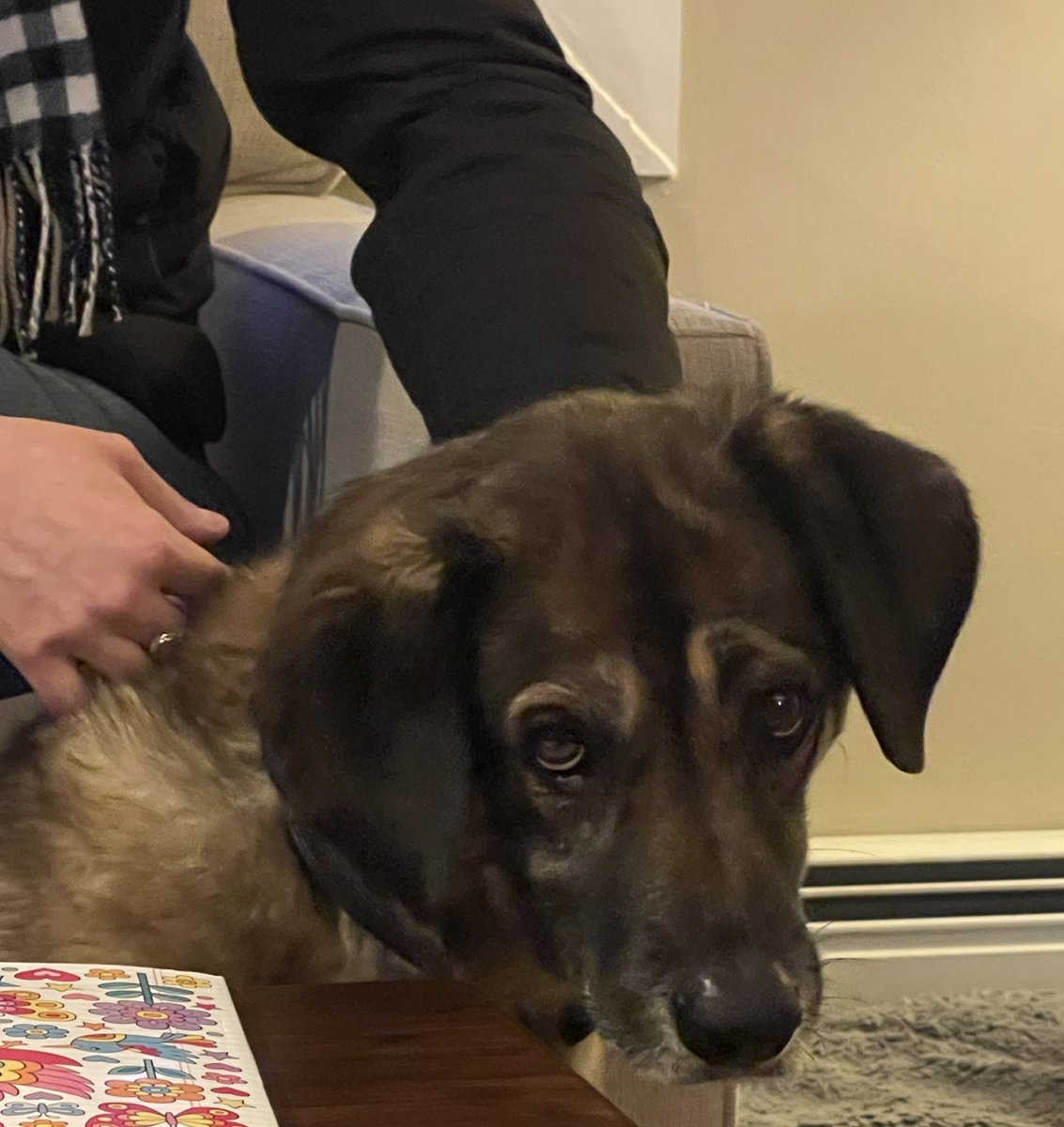 Michael, PA-C, RN tweet media