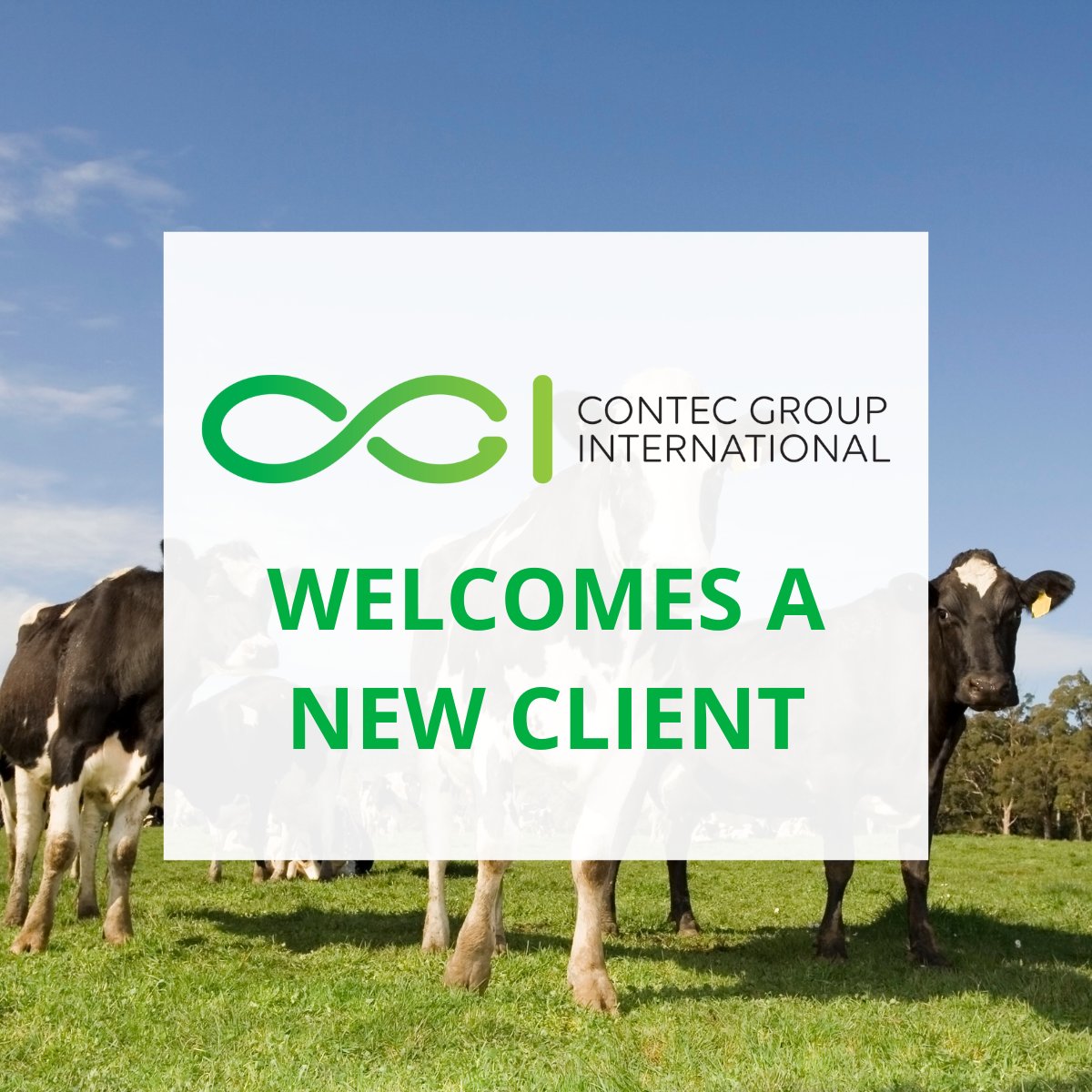 contec_group's tweet image. 2023 started well with another USA MADCAP implementation. Contec Group International welcomes Nestle USA onboard. This year we have a busy year ahead with more implementations happening across the USA, South America, and Asia. Click below to find out more: hubs.ly/Q01ybTq50