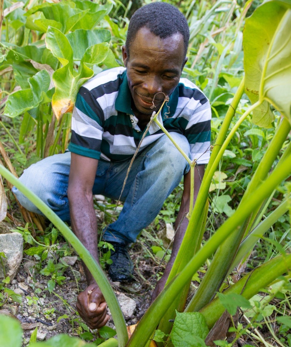 #TuesdayPrayer – Pray for farmers in Haiti who are learning how to improve food security and strengthen livelihoods through training workshops with PWS&amp;D’s support.
