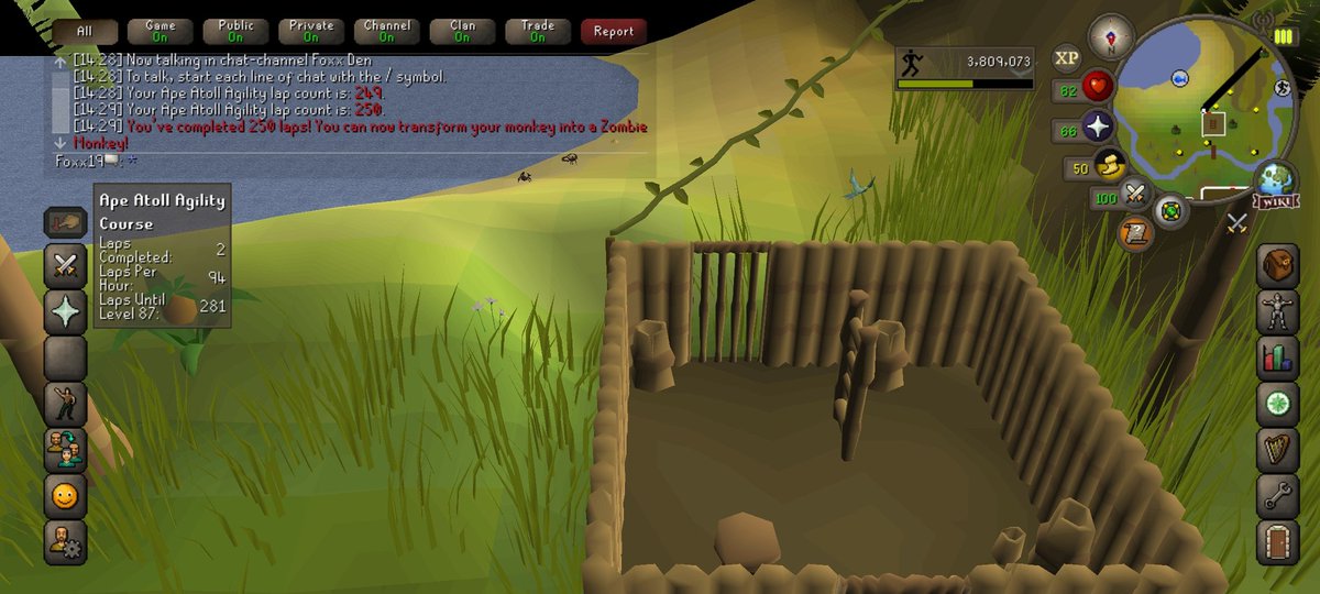 FoxxOSRS's tweet photo. Started the grind 😍 https://t.co/leuVZ0ehGa