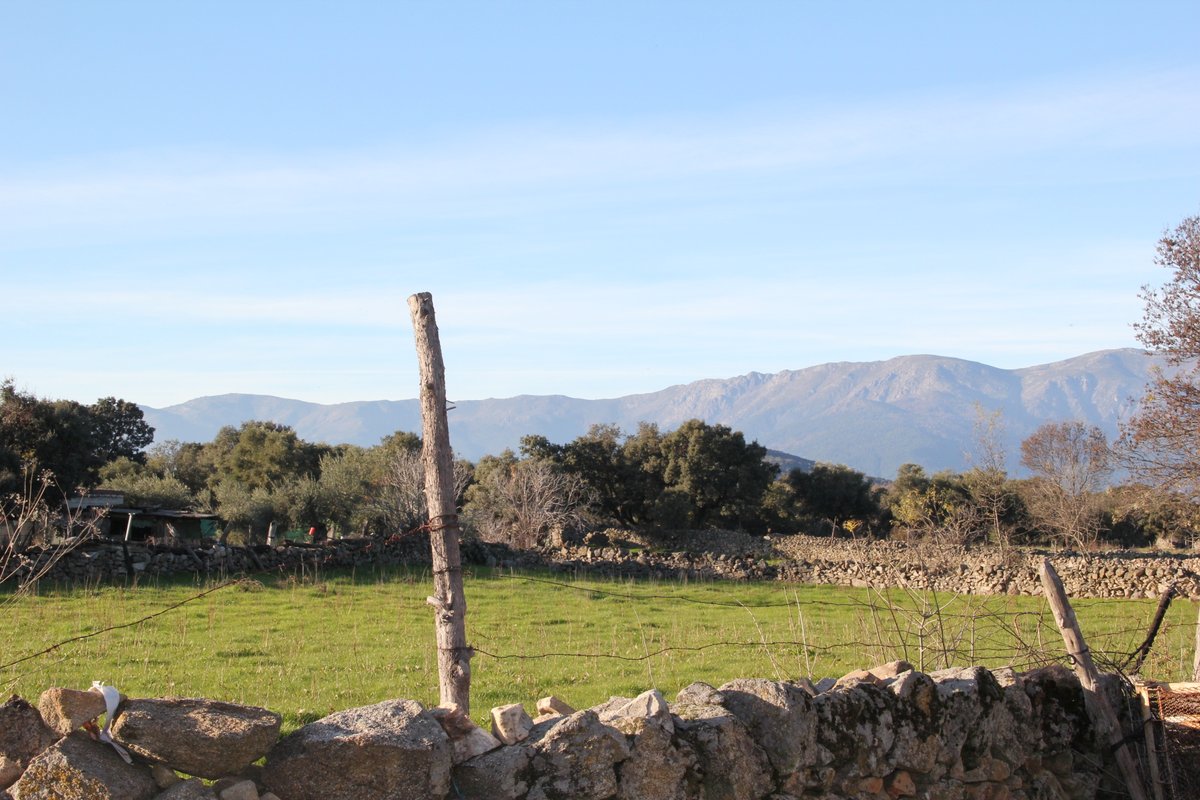 valledeltietar's tweet photo. Te invitamos a conocer Fresnedeilla de Ávila, en el Valle del Tiétar sur de Gredos
https://t.co/uHVco62xow
Es un precioso pueblo situado entre la Sierra de Gredos y la Sierra de San Vicente
#fresnedilla #avila #valledeltietar #gredos #sierradesanvicente #turismo #guiatietar https://t.co/Ch87dbhWlc