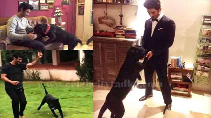 PIYALIBH's tweet photo. His only true friend who loved him unconditionally..
when all others were hiding behind their masks..

#Fudge ❤️💔
Sushant BondWid Fudge ❤️ https://t.co/syjeuYG4BM