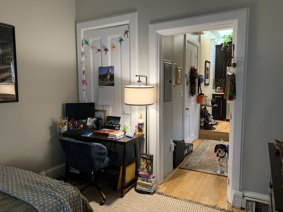 amymrusso's tweet photo. Looking for a place to rent? I’m subletting my Benefit Street apartment in the heart of College Hill from March - end of August for $1,404/month with the option to renew for a year. (Furniture and dog not included) DM me if interested. https://t.co/bidFzI0MbS