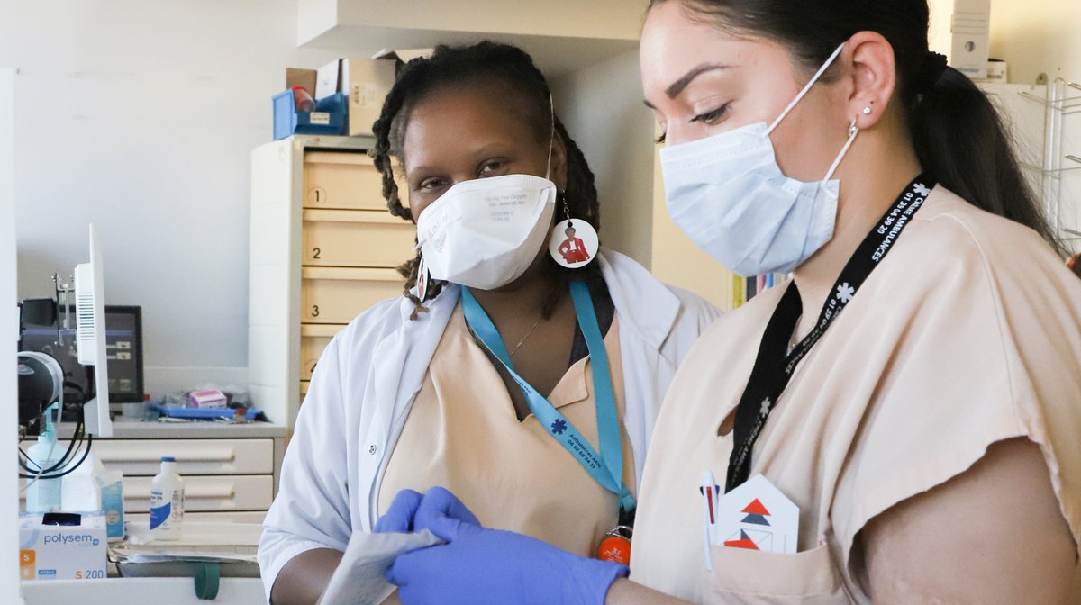 📝[#RECRUTEMENT #SANTÉ]
🆕À vos #CV ! Le GHT GPNE recrute activement au sein de ses équipes. Nous rejoindre c'est :
🧑‍⚕️👩‍🔬 Des équipes dynamiques
📍Postes à pourvoir sur #Montreuil, #Aulnay ou #Montfermeil
📈#Salaire + attractif selon profil

⬇️#Thread : nos #emplois disponibles⬇️