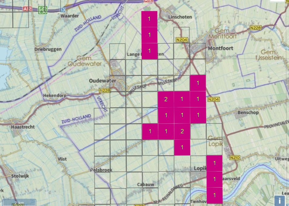 Gerrie Abel tweet media