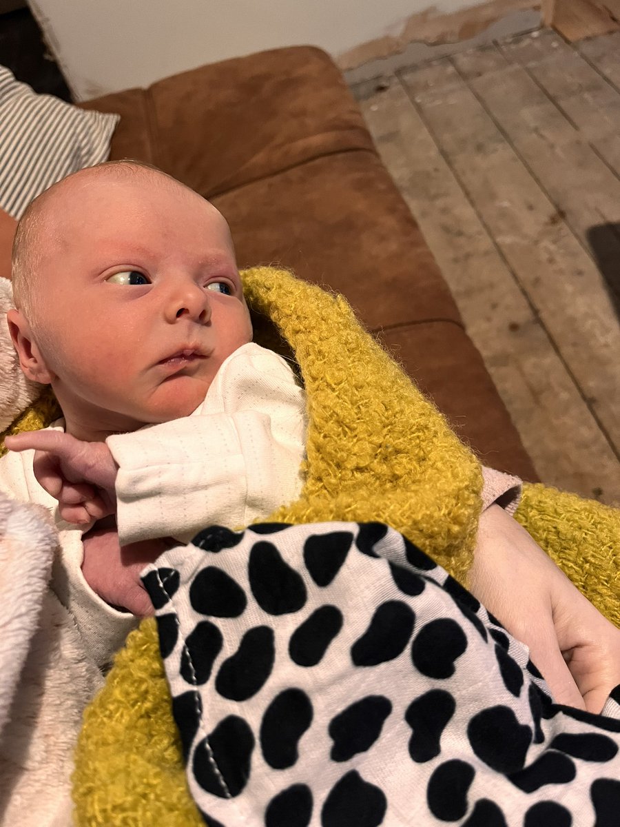 Dr Leah Burch (she/her) tweet media