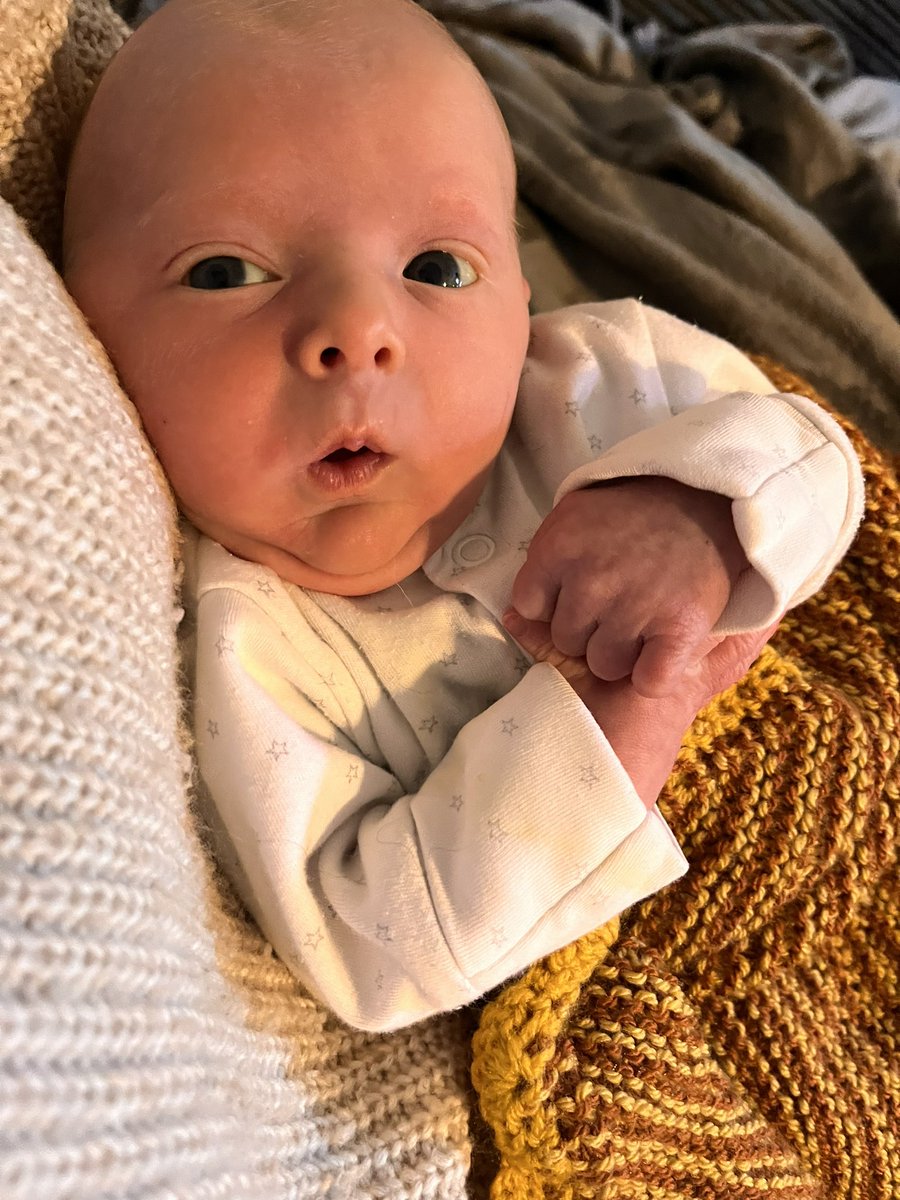 Dr Leah Burch (she/her) tweet media