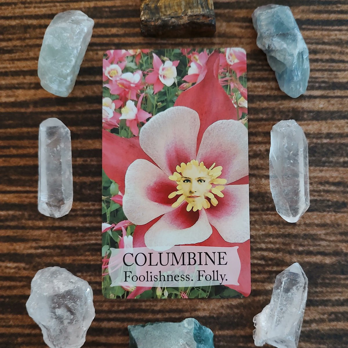 FairySurreal's tweet image. You may have regrets, but that is the classic arc of the hero's journey. They make mistakes. They fail. Forgive yourself and move forward. 
#dailyspread #columbine #floriography #floraloracle #botanicaloracle #victorianlanguageoflflowers #magick buff.ly/3PlqpWS