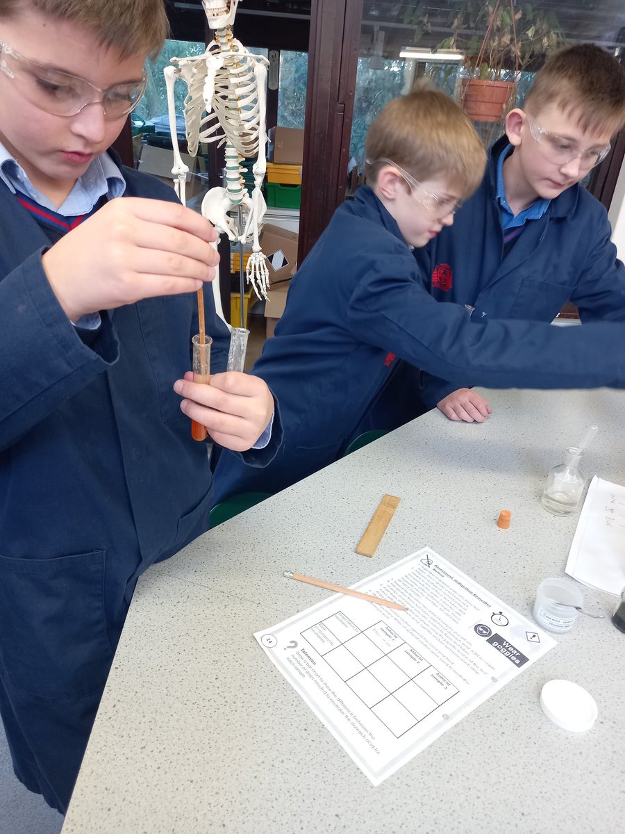 OPSScience's tweet image. Year 6 are investigating some real world science and designing their own experiment to test the strength of some well known antacids. Lots of interesting colours of the pH scale on show and lots of good discussion about accuracy! @OPS_OratoryPrep #STEMeducation