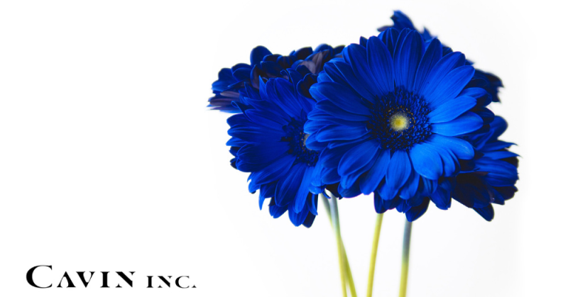 Offers_jp's tweet photo. 【#オファーズ 新着案件】
「花業界をアップデートする」
生産者&花屋の直接取引プラットフォームCAVINさんがCTOを募集中!
🌼エンジニア組織の技術面でリードできる方
🌼一次産業最後のDXに興味がある方
🌼スタートアップの環境でPDCAを回すことを楽しめる方
#CTO募集 #CAVIN
求人を詳しく見る👇