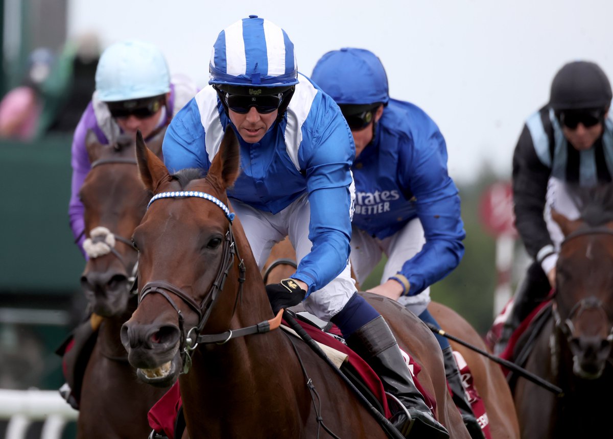 Well deserved 🌟

Baaeed has been named the highest-rated horse in the world on turf and the best in Europe in the World’s Best Racehorse rankings.