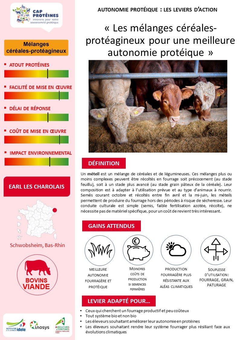 CapProteines's tweet image. Dans cet élevage #bovin allaitant alsacien, les mélanges céréales-protéagineux pour une meilleure autonomie protéique 🌾🌿☘️🐂

👉 Fiche sur bit.ly/MCP67
👉 et sur cap-proteines-elevage.fr/temoignages-d-…

👋 @EAVPHR @cra_grandest @InterbevGdEst @BovinsViande @WebagriFR #CapProtéines