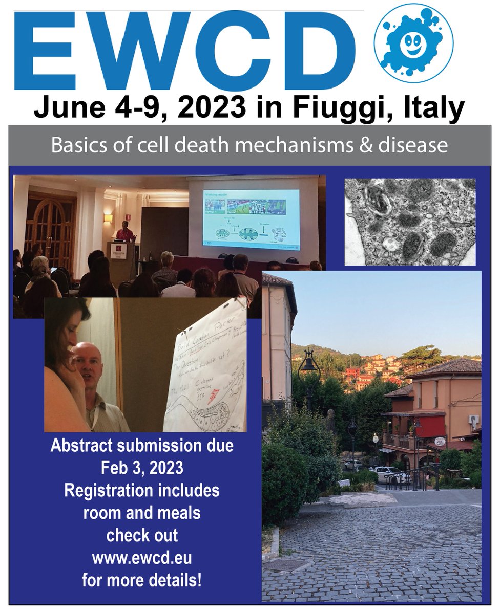 #EWCD abstract submission is now open (deadline Feb 3rd, 2023)!!! 
A great meeting for early career scientists to discuss their latest research in programmed cell death, lysosomal cell death, autophagy, immunology and cancer stem cells. All details at ewcd.eu