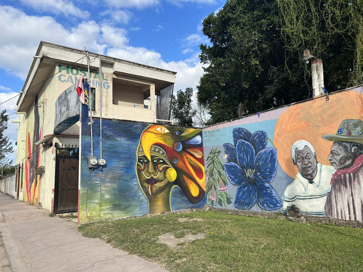 Jeroen Mirck tweet media