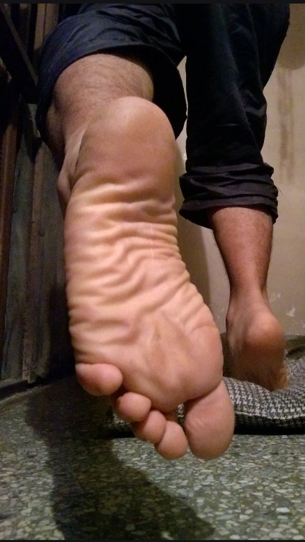 Pana Pies tweet media