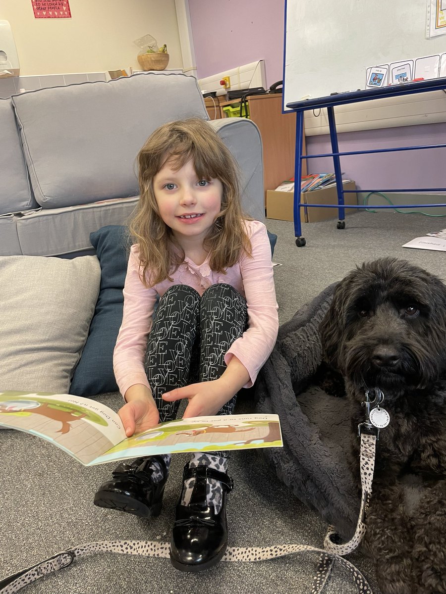 MissFlorenceCV's tweet photo. Our first “Reading with Ozzy” session was a hit! Ozzy loved listening to the stories and doing tricks for treats! 🐾 📕 @Castleview_PS https://t.co/ccqA3dJnPv