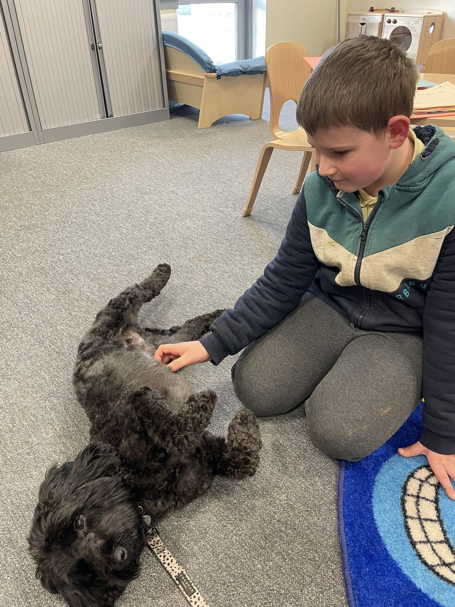 MissFlorenceCV's tweet photo. Our first “Reading with Ozzy” session was a hit! Ozzy loved listening to the stories and doing tricks for treats! 🐾 📕 @Castleview_PS https://t.co/ccqA3dJnPv