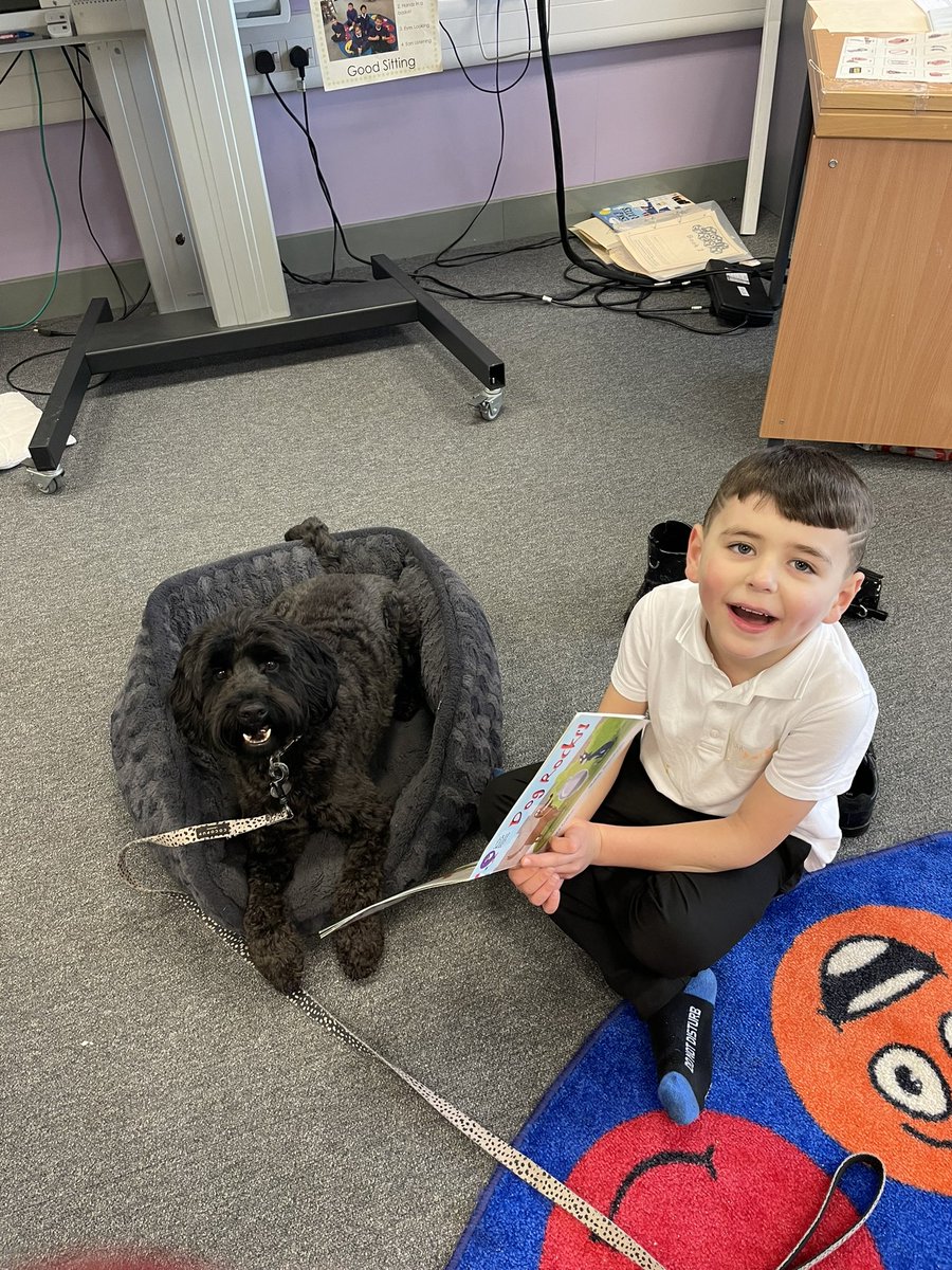MissFlorenceCV's tweet photo. Our first “Reading with Ozzy” session was a hit! Ozzy loved listening to the stories and doing tricks for treats! 🐾 📕 @Castleview_PS https://t.co/ccqA3dJnPv