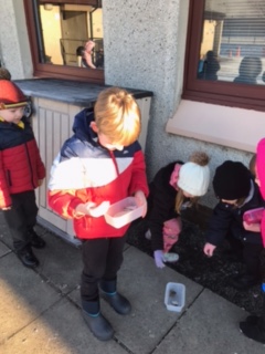 MrsMacaulayCPS's tweet photo. Today Primary 1 collected some ice and snow ❄️ Some stones and sticks were frozen in the ice and we investigated ways to melt the ice to remove the stones and sticks. #outdoorlearning #Scottishweather @carmondean_ps @misspurvisCPS https://t.co/88QSI63Pk6