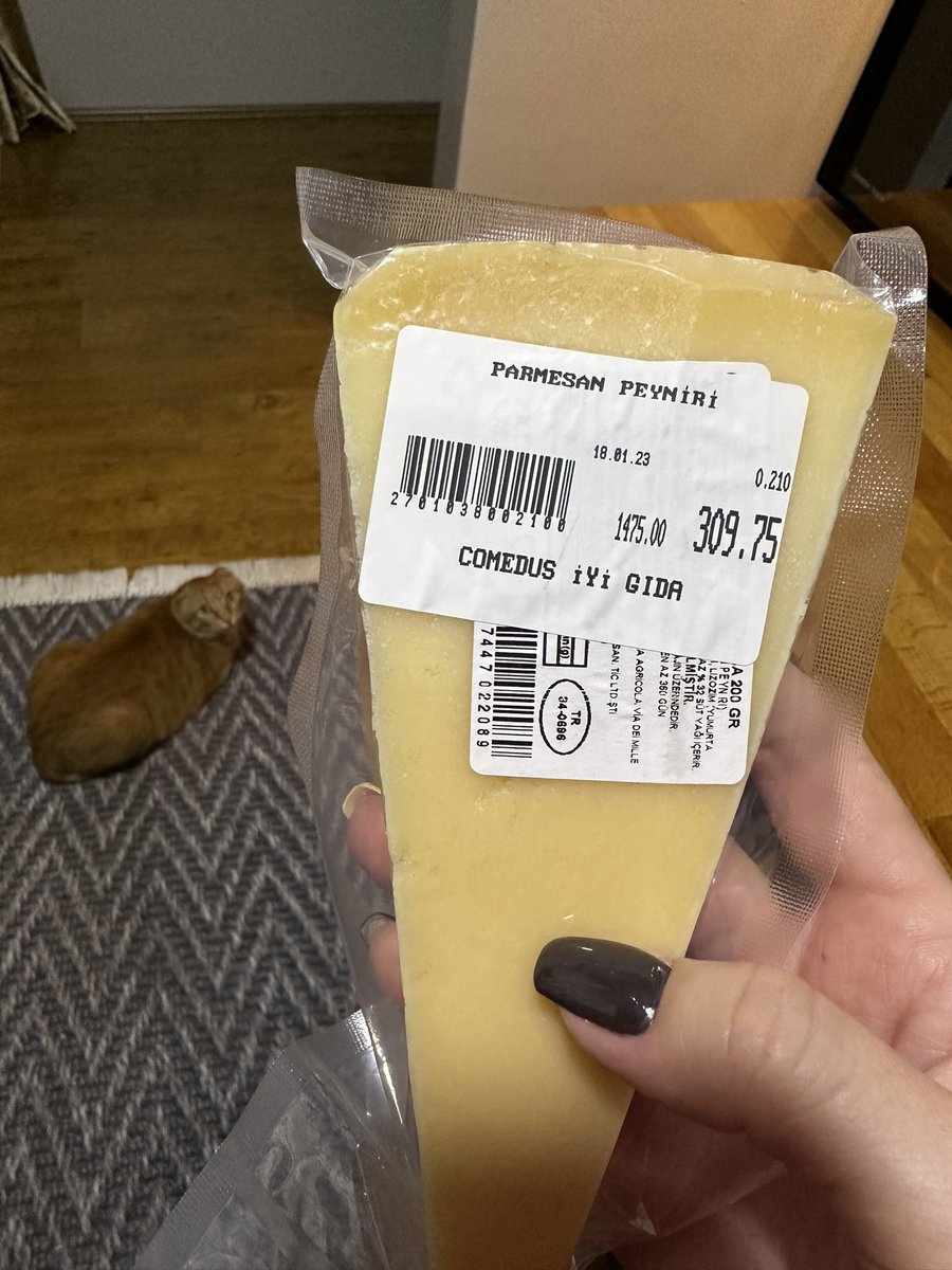 Canım eşim 200 gr parmesan peynirine 309 tl vermiş:) ben bu parmesanı yiyemem.Pamuklara sararım, evin bir bireyi sayarım!