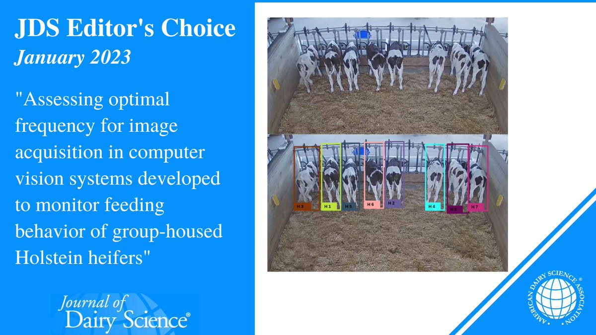 ADSAGSD's tweet image. Can we monitor #holsteinheifer feeding behavior using #sensingtechnology and #artificialintelligence techniques? Read the latest study from @jrrdorea  ➡️ doi.org/10.3168/jds.20…
#dairyscience
