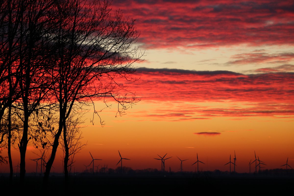 Mooie dag (mooie flyer, mooie foto's) 😉
<a href="/LTONoord/">LTO Noord</a> @Zuiderzeeland <a href="/FlevoNieuws/">Provincie Flevoland</a> 👇