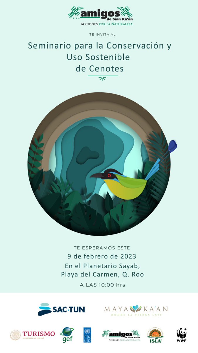 AmigosSianKaan's tweet photo. #AmigosdeSianKaan te invita al Seminario para la Conservación y Uso Sostenible de Cenotes. 
Si tienes un emprendimiento turístico que realice actividades en cenotes, próximamente registro y  mayor información.
#AccionesporlaNaturaleza #BuenasPrácticasCenotes #Mayakaan #SACTUN https://t.co/g6Yu2iA7J7
