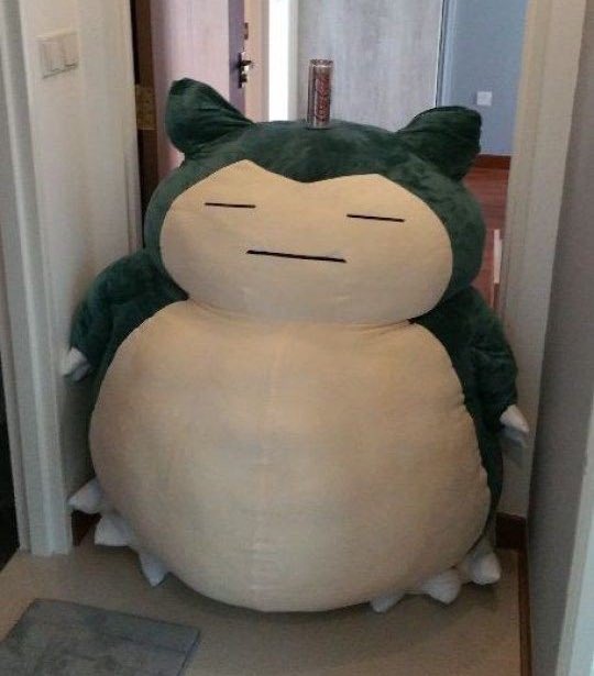 PokemonGems's tweet photo. the path is blocked https://t.co/JjjU7wBTn1