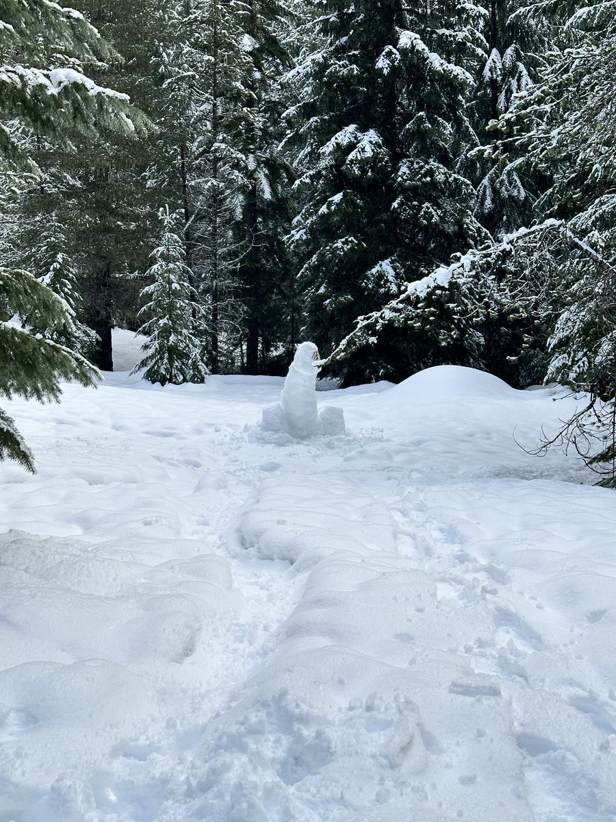smoothbator's tweet photo. Other guys make snowmen, I make snow cocks https://t.co/CkKfiouNSi