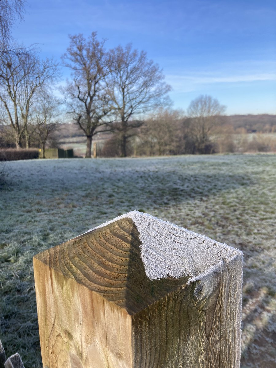 CoLEppingForest's tweet photo. Hello #EppingForest #walkers. Who’s been enjoying a fine Forest #hoarfrost #winter sun #photography moment? #hoar is Old English, grey white as with age. Crystals freezing direct from water vapour. Share your photos with us and the world. #macrophotography or phone like ours. https://t.co/sVy0SIotwe