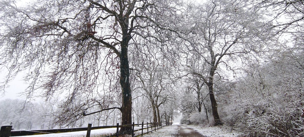 DTV45000's tweet photo. #lesgrandesmaisons #lorris #gite #hebergement #pension #cheval #neige #paysage #hiver #pré #jacuzzi #spa #campagne #nature https://t.co/tphd8pIUgb