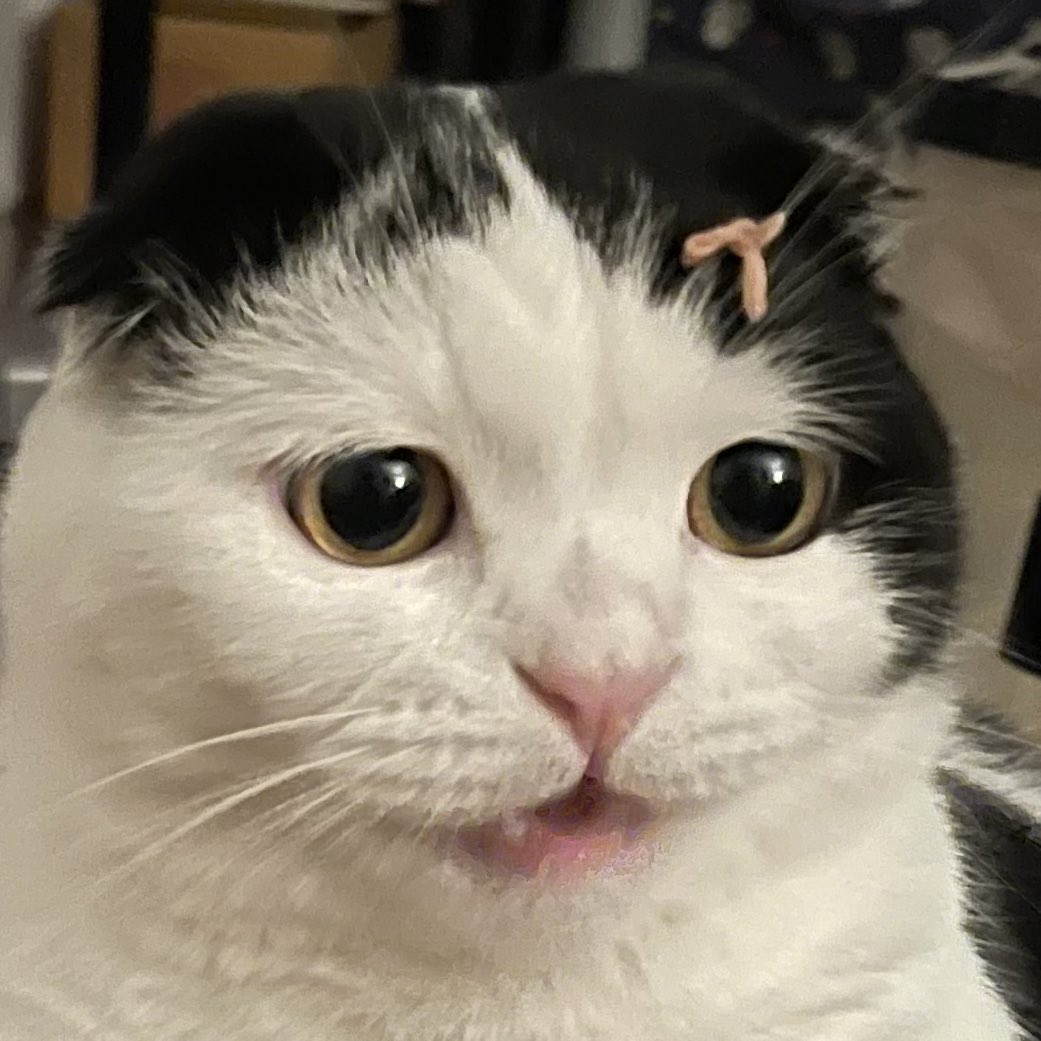 ขำก่อนค่อยขอโทษทีหลัง5555555555555555555555555