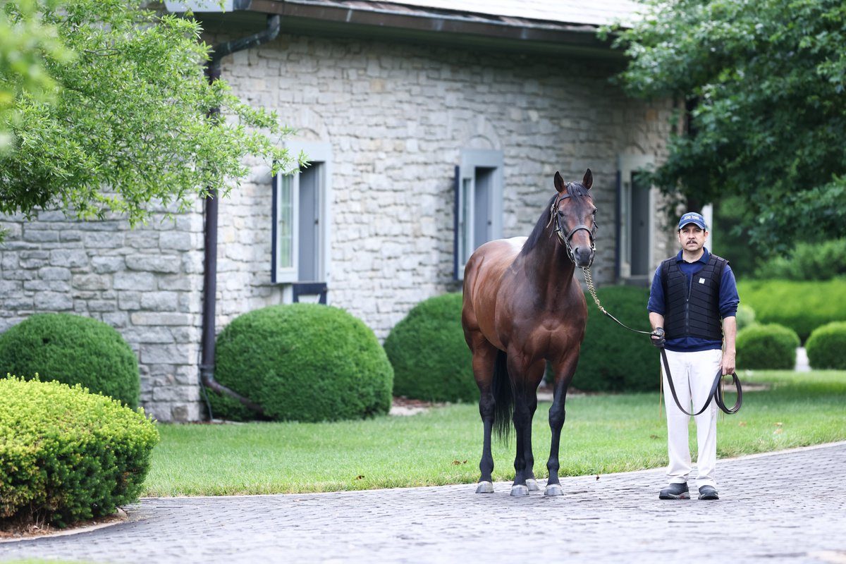 #SireOnFire 🔥MENDELSSOHN🔥 has already had 5 winners in 2023...

Including Saturday's Gasparilla S. winner - Opus Forty Two, now 2-2 on the main track!

⦿ 29 winners (more than Good Magic)
⦿ 8 Stakes horses
⦿ 2023 Fee: $25,000 

#CoolmoreSires #HomeOfChampions