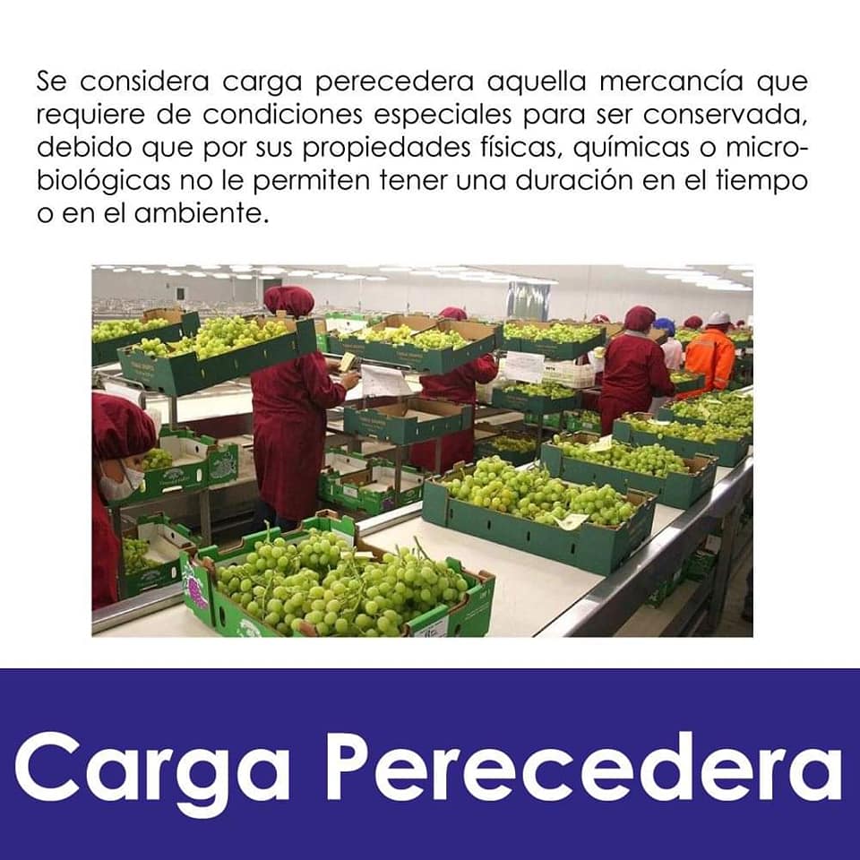 marc_peru's tweet photo. 🤓🤔🤓
#MeInformo
#FuerzaPeru 💪🇵🇪
#marcperu
#freightforwarder
#homeoffice
#Peru https://t.co/H26WtFRAK2