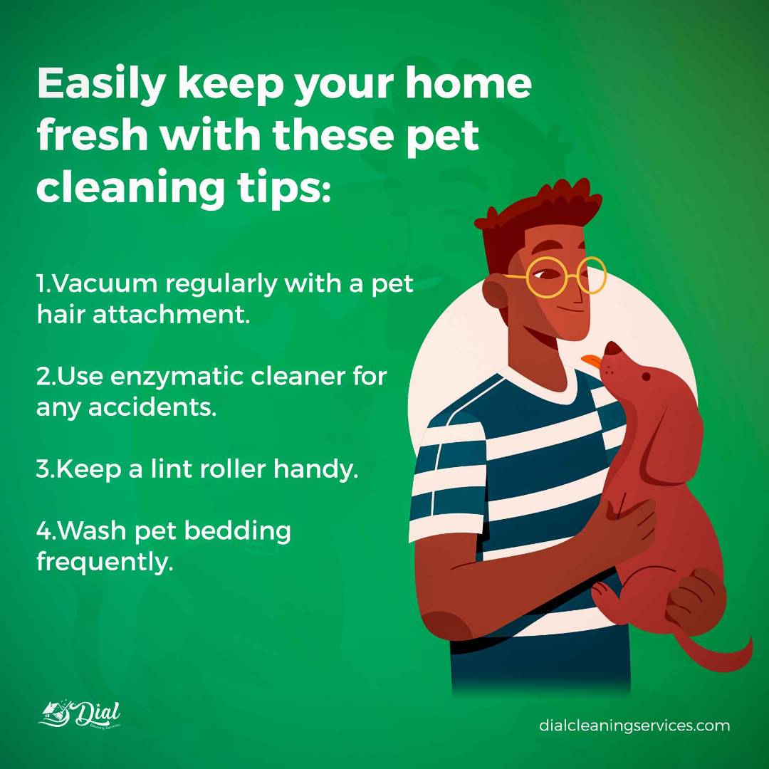 Easily keep your home fresh with these pet cleaning tips:

Vacuum & pet hair attachment
Enzymatic cleaner for accidents
Lint roller
Regularly wash pet bedding
Use fabric refresher spray

#PetCleaningTips #PetHairRemoval #PetLover #PetCare #PetHome