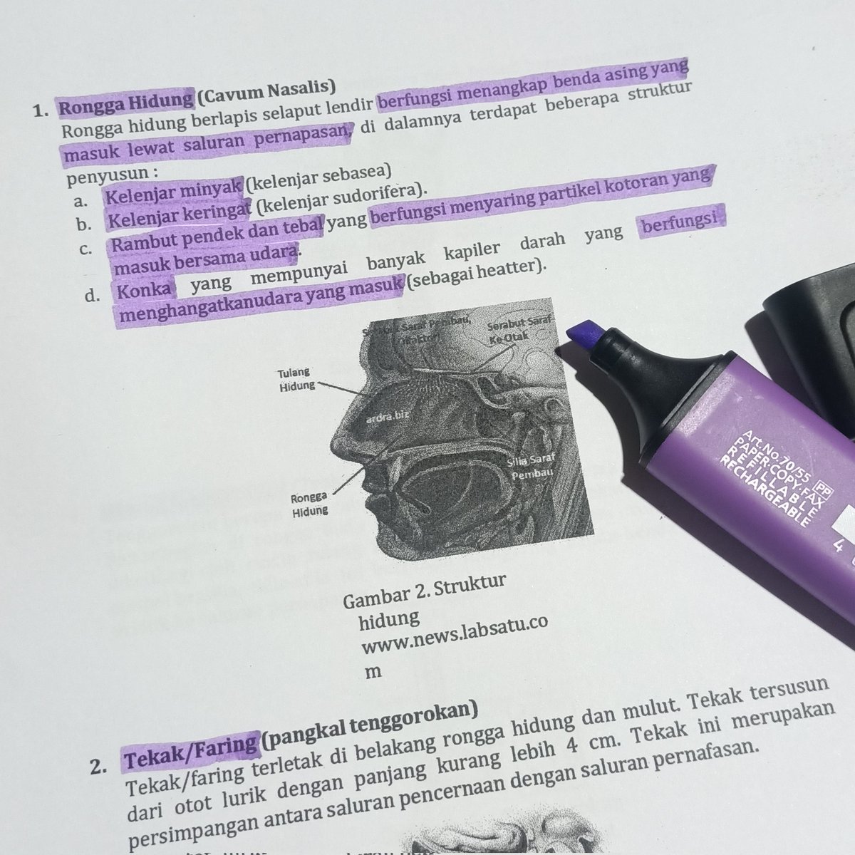 studywkia's tweet image. 170323 ༉‧₊˚