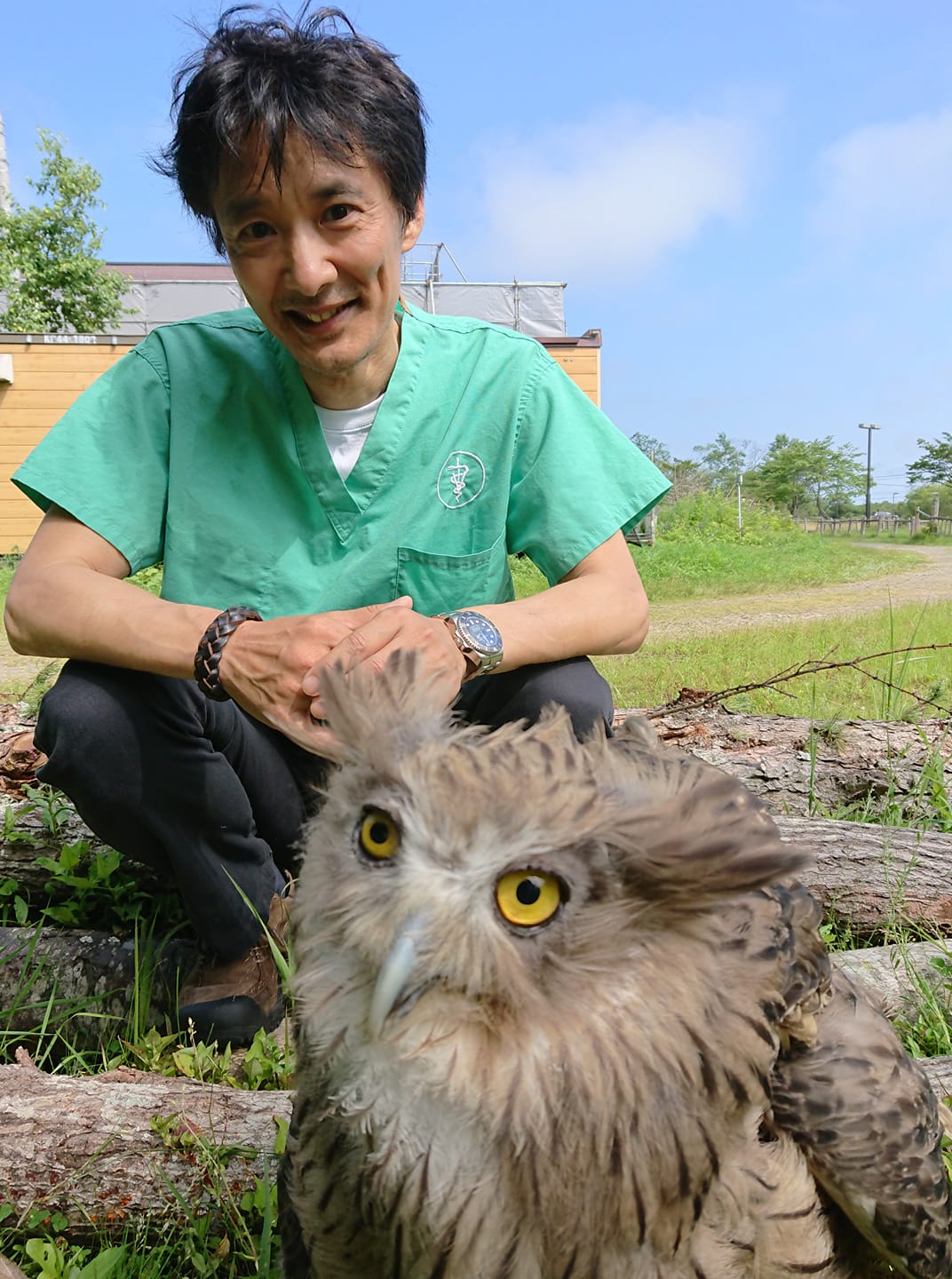 猛禽類医学研究所 齊藤慶輔 on X: 