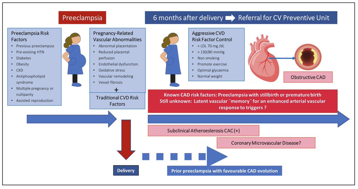 Heart_BMJ (@heart_bmj) on Twitter photo Long-term maternal cardiovascular risk after preeclampsia 🤰 : a latent vascular enemy
bit.ly/3WLH4a1 Long-term maternal cardiovascular risk after preeclampsia 🤰 : a latent vascular enemy
bit.ly/3WLH4a1