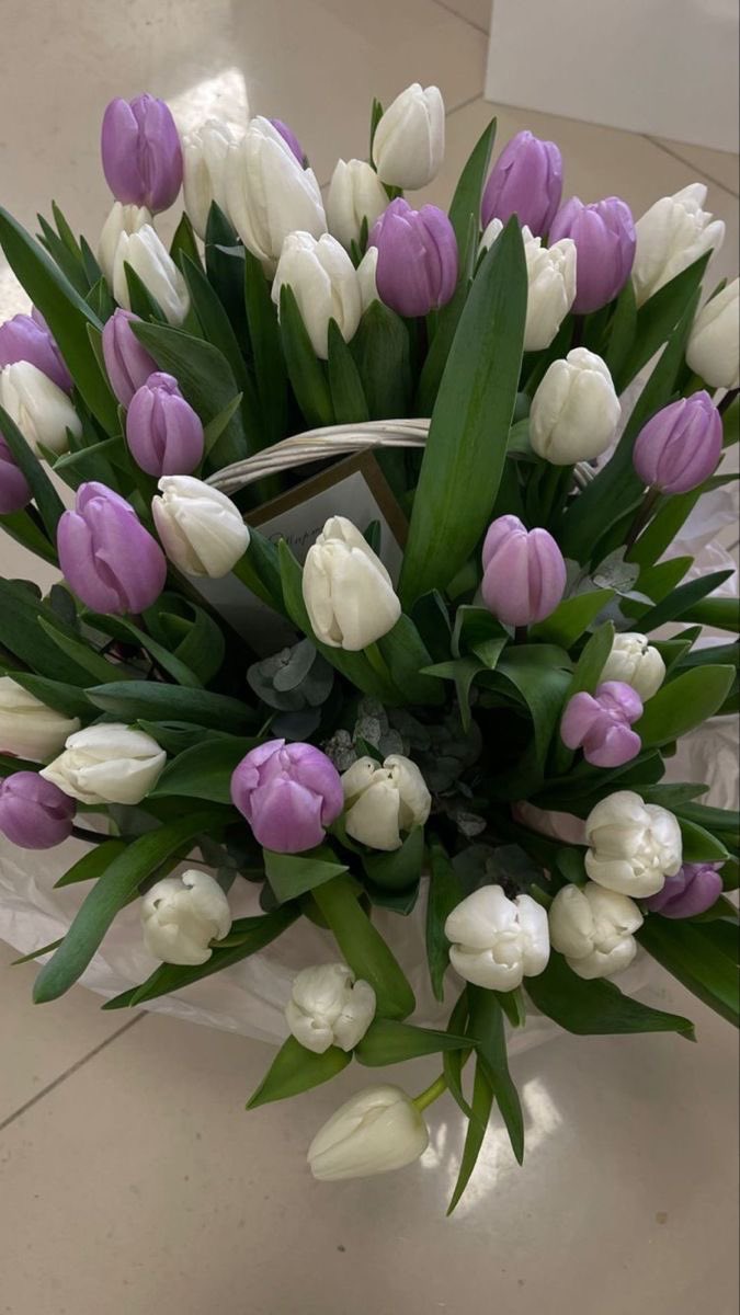 tulips