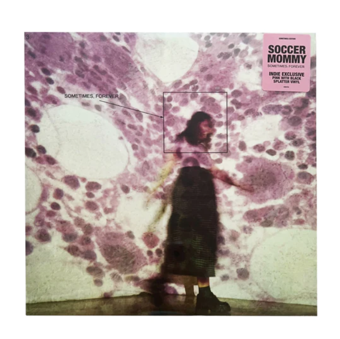 BeautifySounds's tweet photo. RANKING ALBUMS OF 2022

48. Sometimes, Forever - Soccer Mommy

Slightly diverting from her typical late 2000s indie pop aesthetic, Soccer Mommy’s third LP Sometimes, Forever features harsher rock instrumentals, utilizing abrasive production from producer Oneohtrix Point Never. https://t.co/O6VxipIKIk