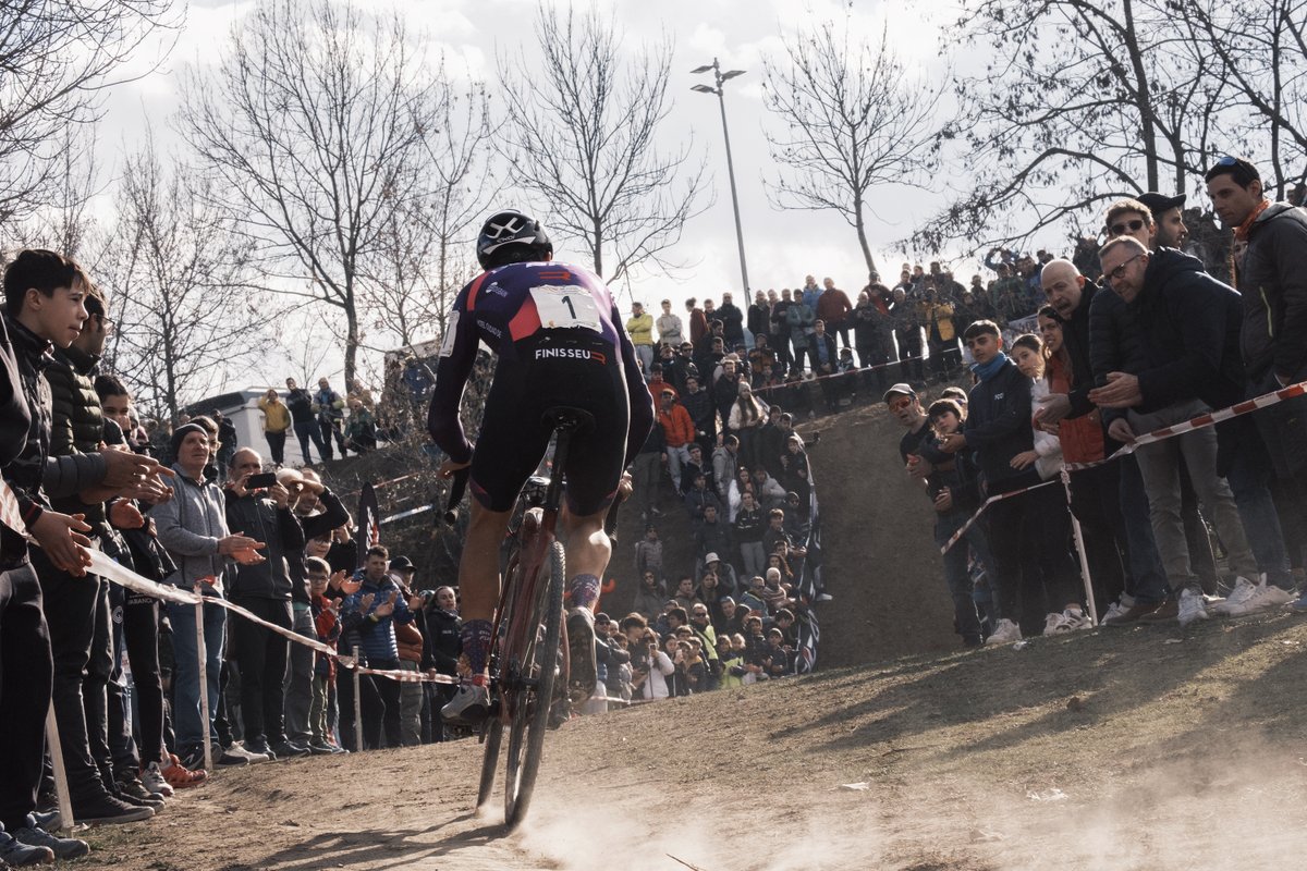 Brain on Wheels tweet media