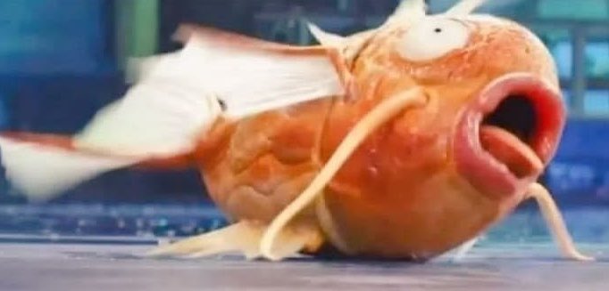 Nadie:
Yo ahogándome con mí propia saliva sin razón alguna: