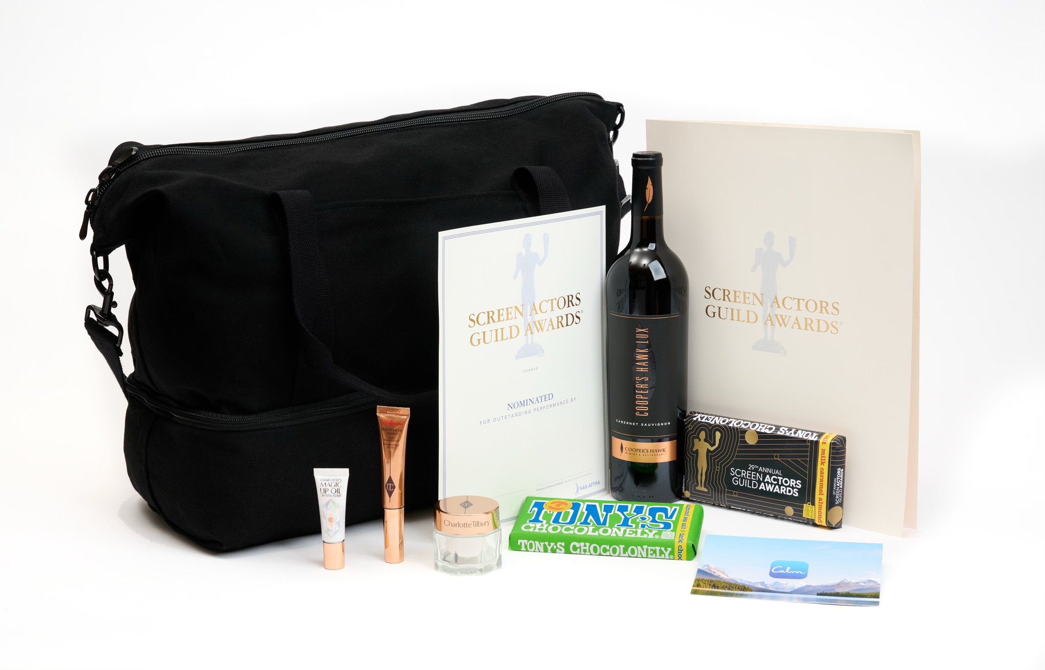 SAG Awards® on Twitter "Introducing the ultimate sagawards nominee(02)