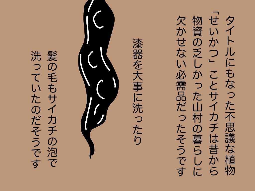 #せいかつの花のこと 03 