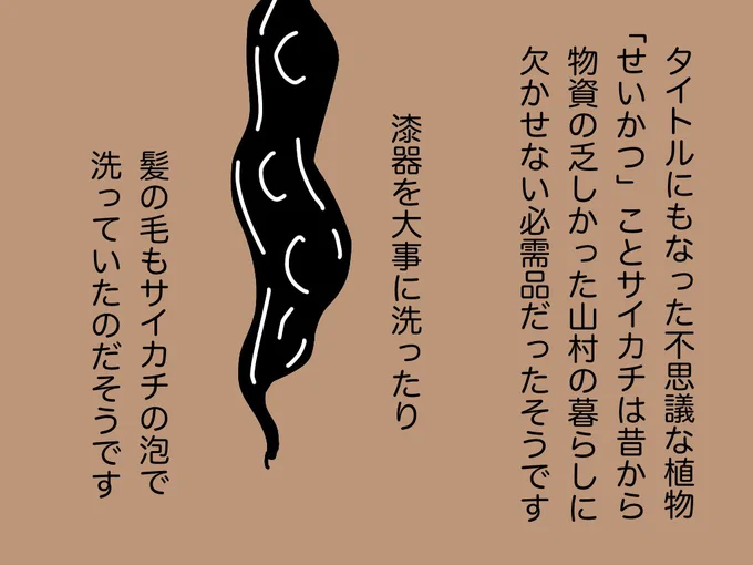 #せいかつの花のこと 03 