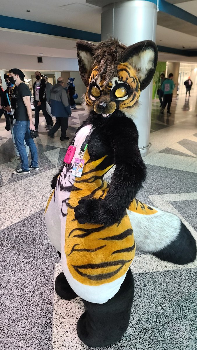 CosmosLiger's tweet photo. A few of the prettiest/cutest suits! Lemme know if anyone knows the cat and 'bou. https://t.co/gRqkN11wAF