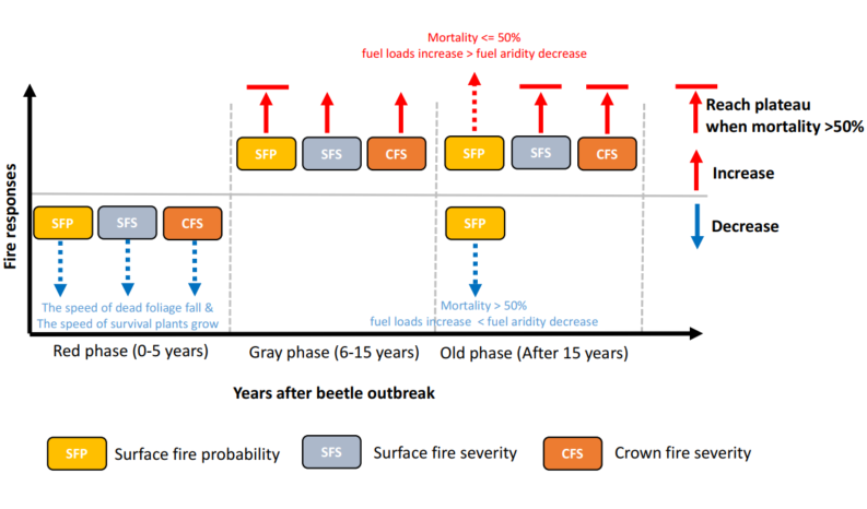 ren_will's tweet photo. The third chapter of my PhD dissertation is finally out! We coupled a beetle effects model with a fire regime model and identified the mechanisms that drove wildfire after beetle outbreaks. We showed that mortality level, vegetation&amp;fuel dynamics and local fire-regimes all matter https://t.co/A2JxV878IN