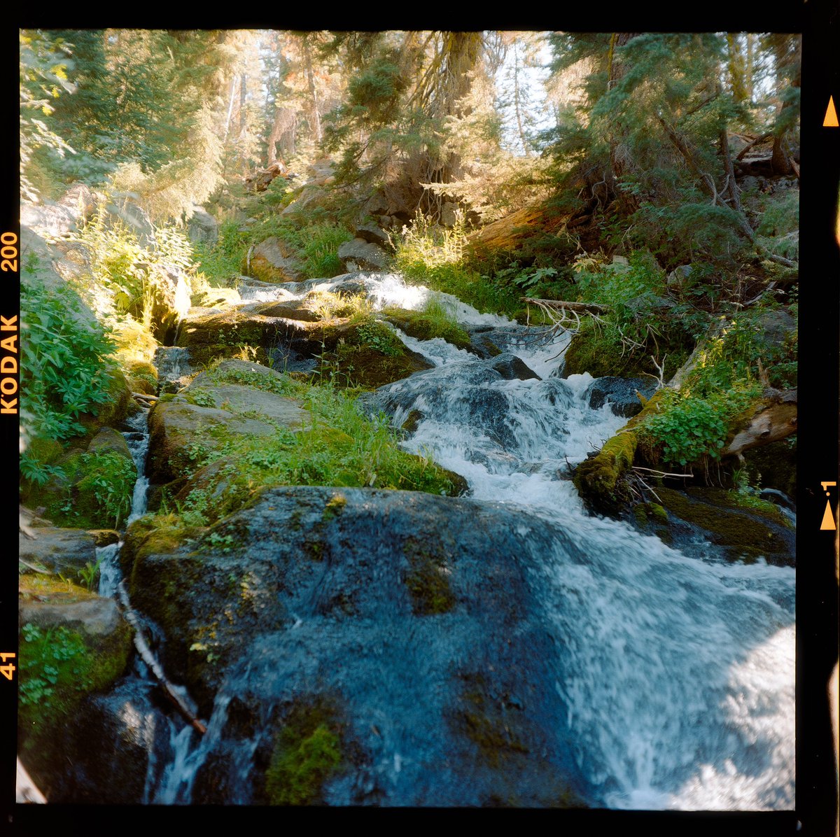 ryanadrift's tweet photo. photos from my first roll of medium format film https://t.co/awbIIMqiW6