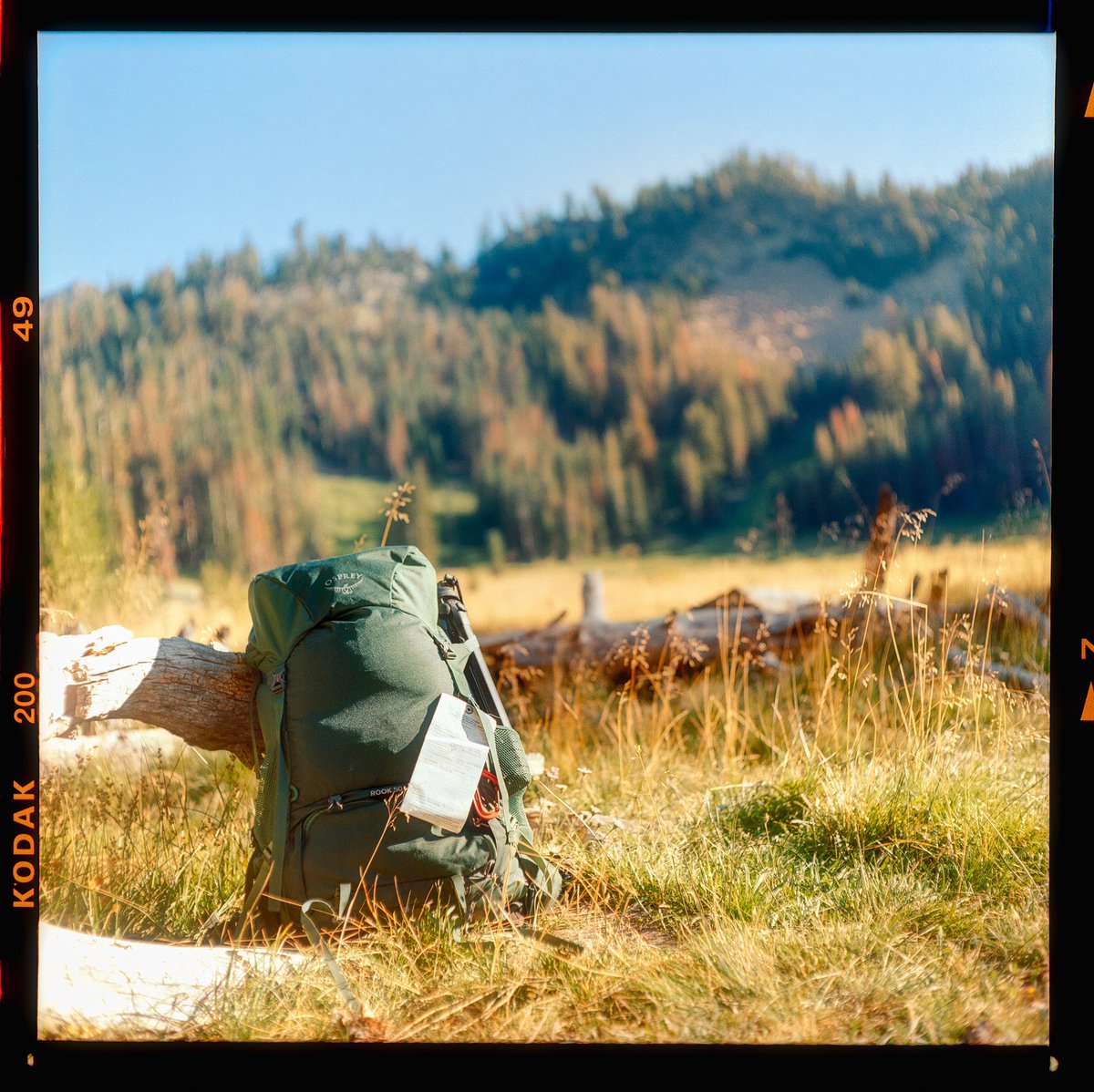 ryanadrift's tweet photo. photos from my first roll of medium format film https://t.co/awbIIMqiW6