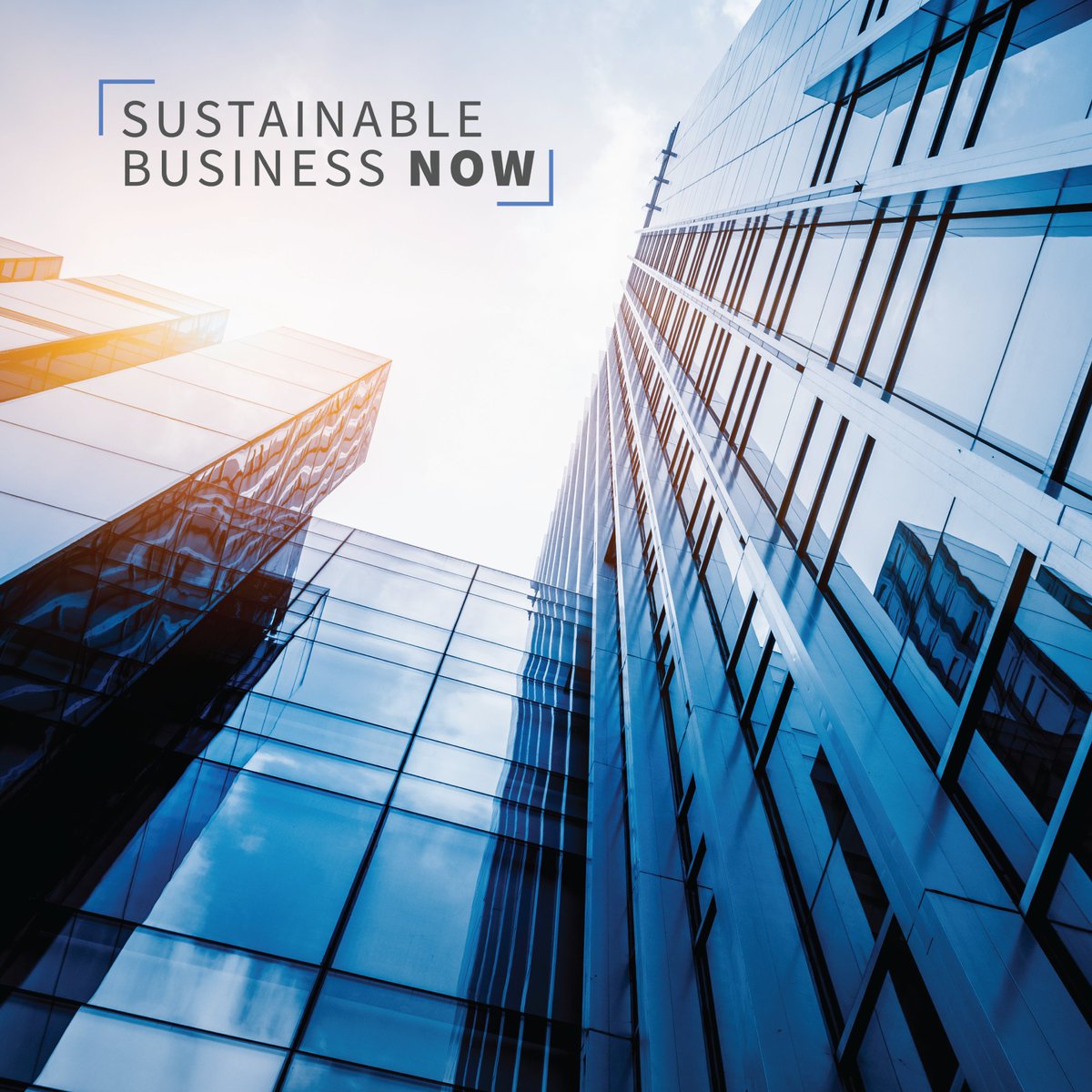 We’re Sustainable Business Now, a collection of visionaries, industry-leading companies, and changemakers committed to making business more sustainable. 

#SBN #WEF #WEF23